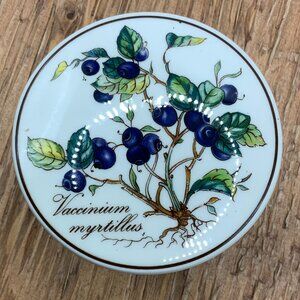 Villeroy and Boch Vintage German Myrtillus Porcelain Berries Trinket Box